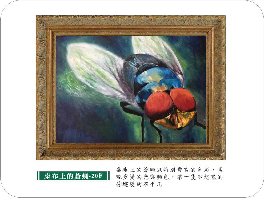 蒼蠅